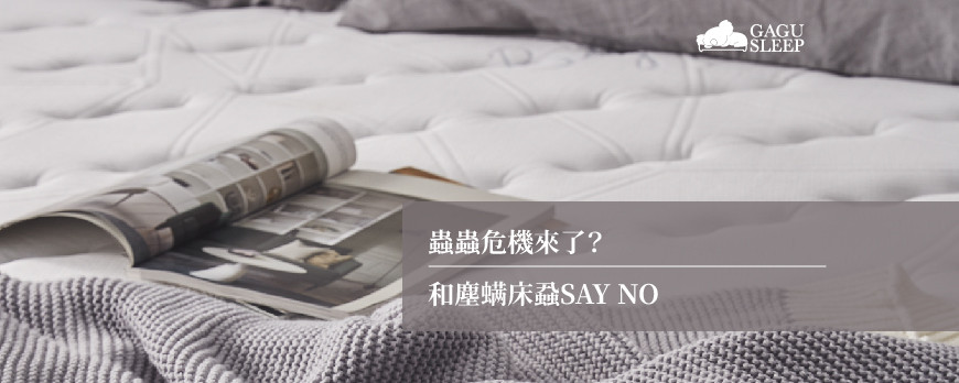 蟲蟲危機來了？ | 和塵螨床蝨SAY NO